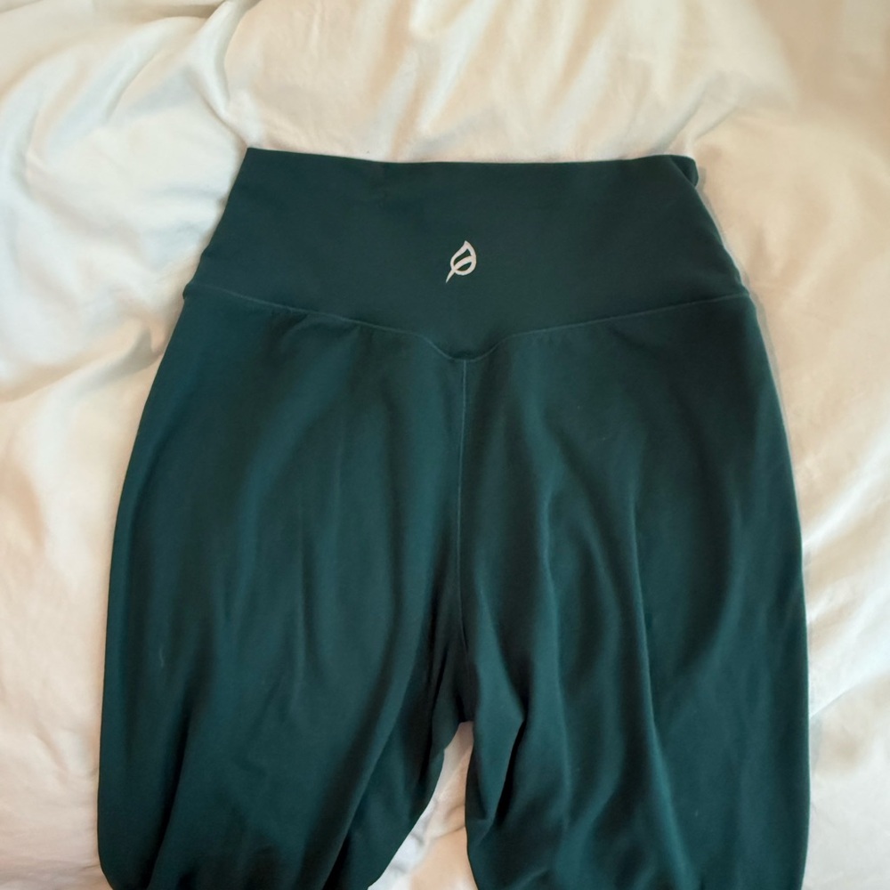 Ptula Cassey leggings basalm green size medium